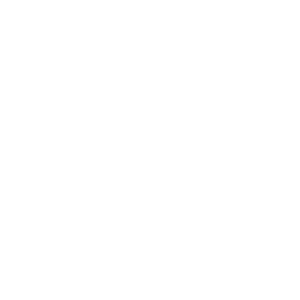 Photo du logo de la marque Partenaire Leone