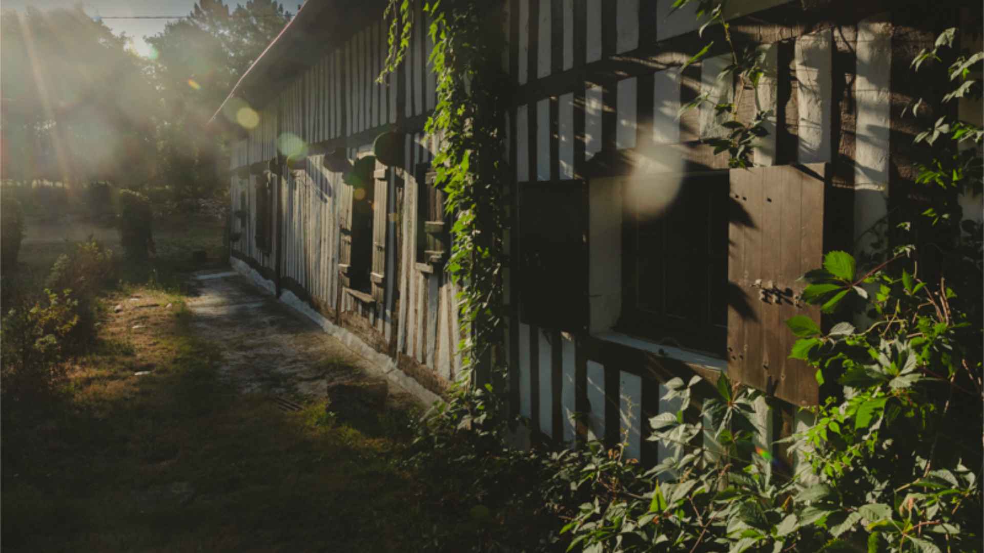 Photo du domaine de profil avec un jolie rayon de soleil
